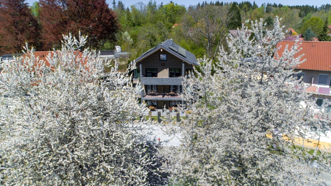 Invita Natur-Chalets Penthouse - Familienurlaub Im Schwarzwald - 240Qm 巴特迪尔海姆 外观 照片